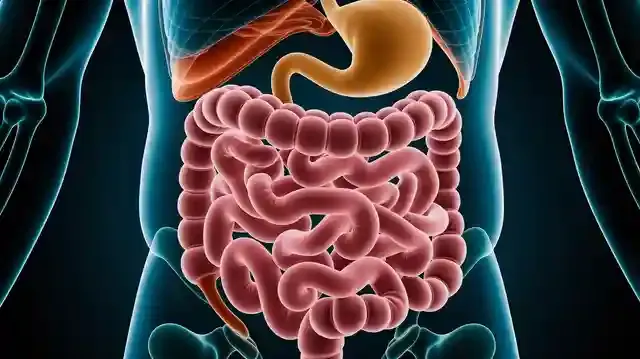 Understanding Diverticulitis Symptoms