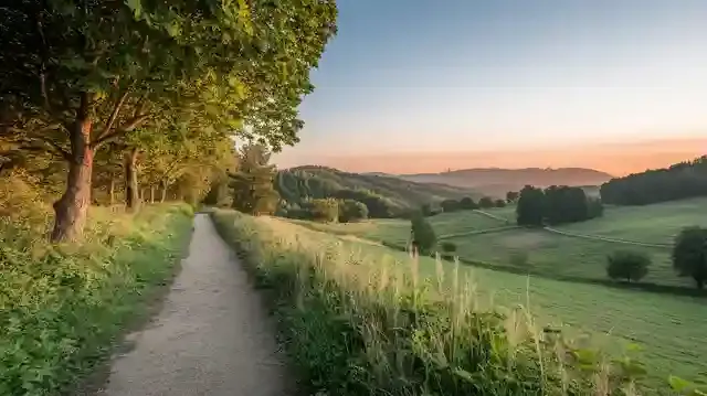 Discover Hiking Trails for Beginners