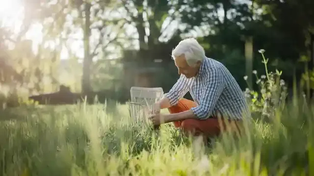 Effective Tips to Prevent Dementia