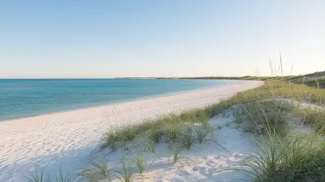 What Is The Cheapest Beach To Visit In Florida - A tranquil Florida beach with white sand and clear blue water